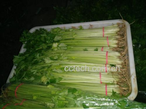 山芹与土豆条的切配过程