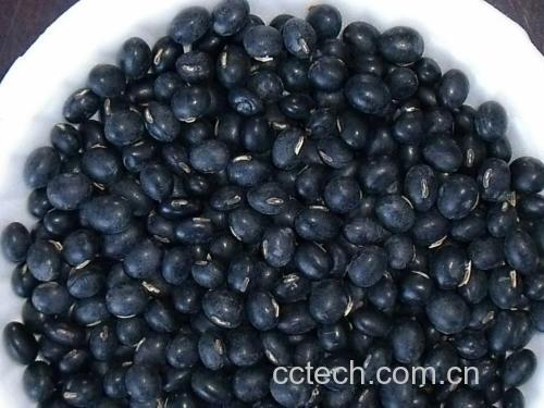 黑豆食谱推荐