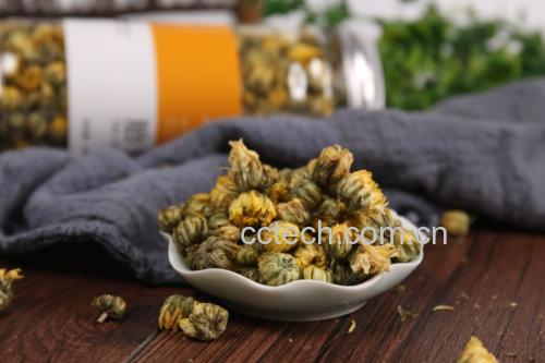 杭白菊胎菊包装展示