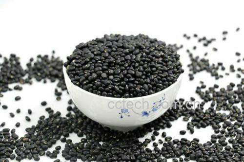 黑豆实物图