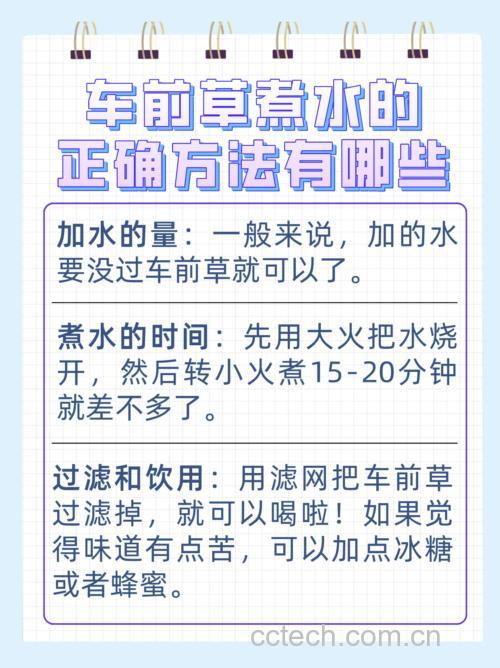 车前草与黑豆同煮做法步骤图