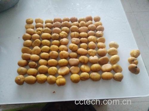 油板栗仁炸制过程