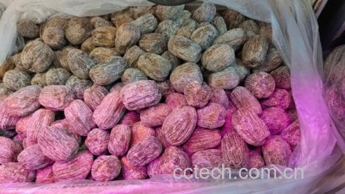 蜜枣热量对比图