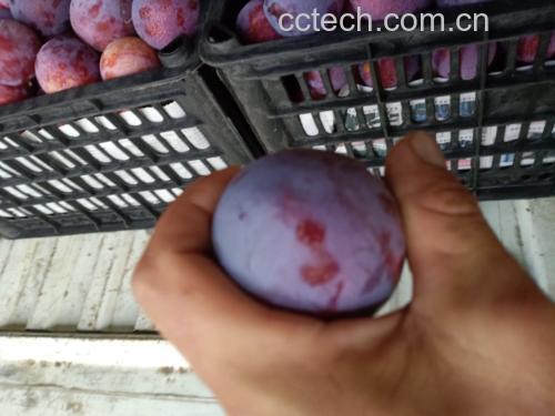 嵊州桃形李制作成果汁饮品图