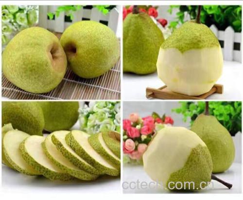 莱阳梨制作的梨水饮品