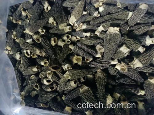 黑羊肚菌炖鸡与白羊肚菌清炒时蔬对比图
