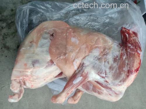 白条羊肉整体展示图