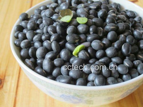 黑豆豆浆成品图