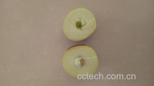 青枣存放与食用方式图