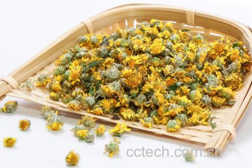 野菊花茶饮示意图