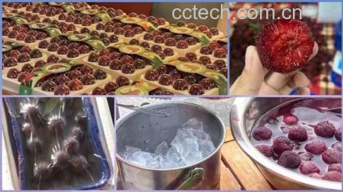 东魁杨梅用于制作果酱和果酒的料理场景
