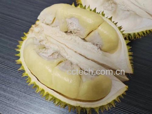 金枕头榴莲果肉展示