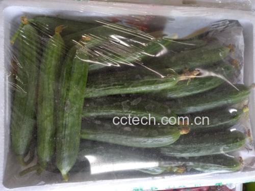 秘制小黄瓜成品图