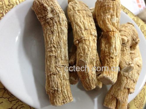 沙参根干品特写