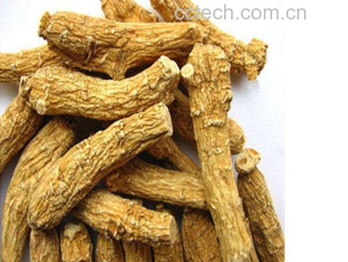 优质人参与枸杞的对比图