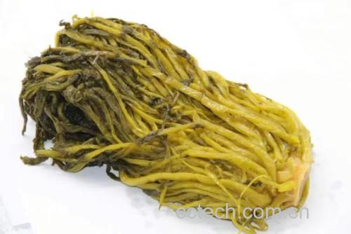 泡菜小黄瓜在玻璃罐中腌制过程