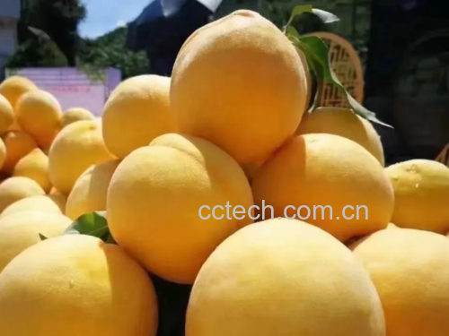 黄桃酱制作过程图