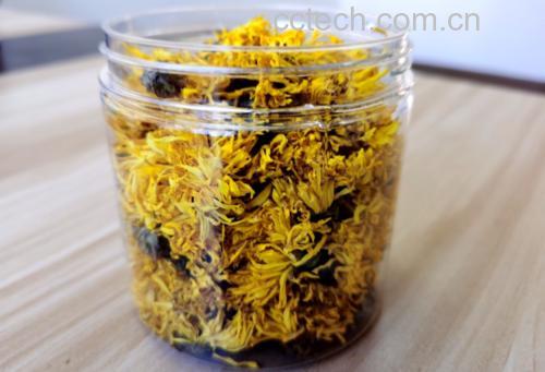 金丝皇菊茶冲泡图