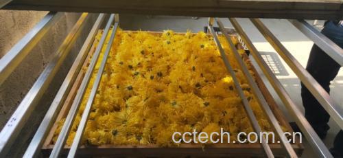 金丝皇菊与枸杞的原料展示