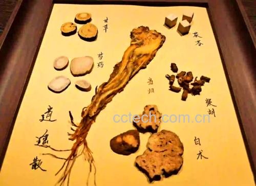 北柴胡饮片与配伍药材展示图
