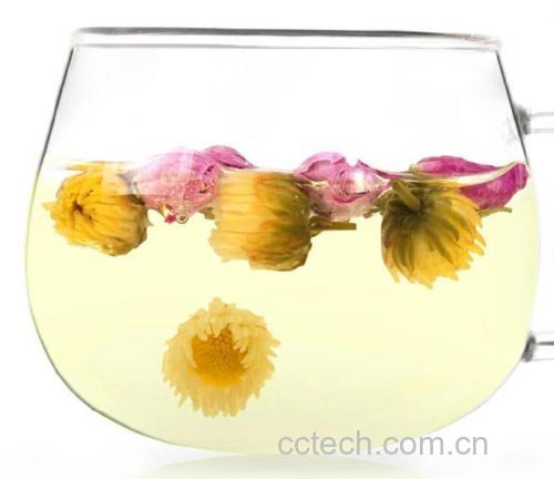 胎菊王冲泡图