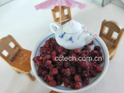五味子茶饮图