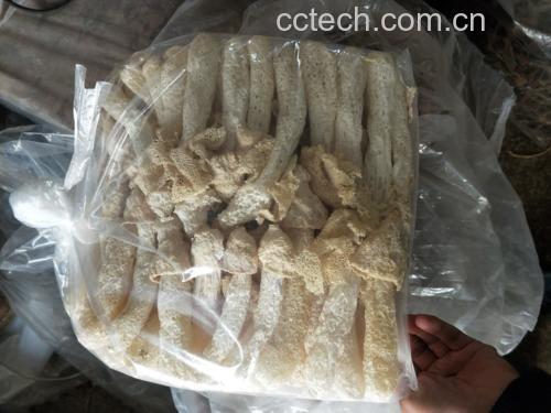 优质长裙竹荪实物展示