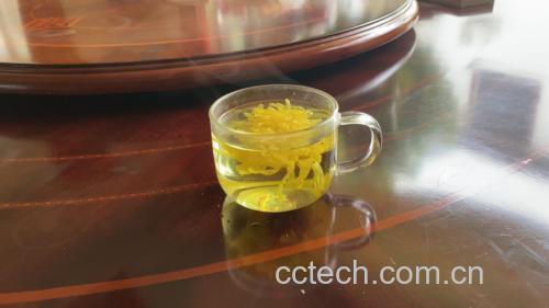 金丝皇菊搭配茶饮示意图