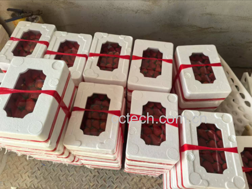 白色奶油草莓蛋糕奶油打发与草莓切片过程展示