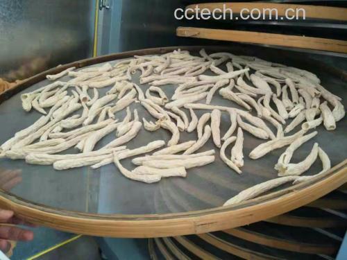 处理中的新鲜长裙竹荪