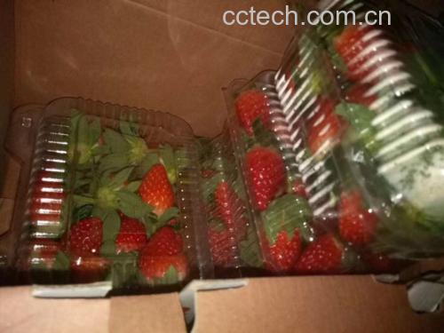 草莓奶油盒子分层结构展示