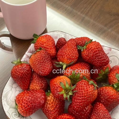 草莓乳饮品成品图