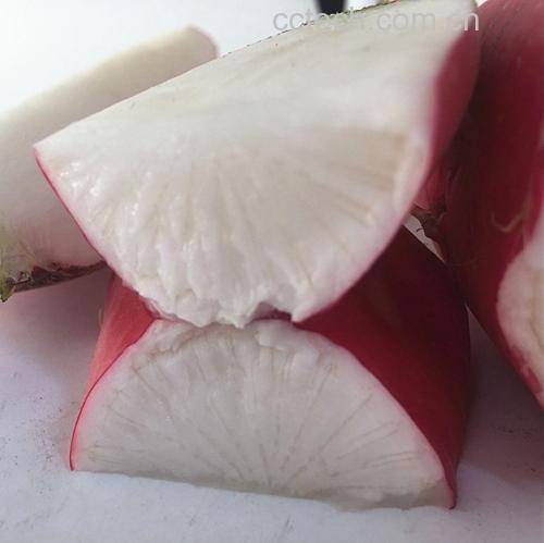 水果萝卜特写