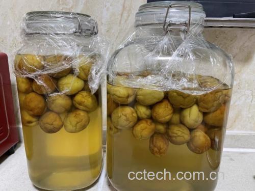 红梅果泡酒的制作过程