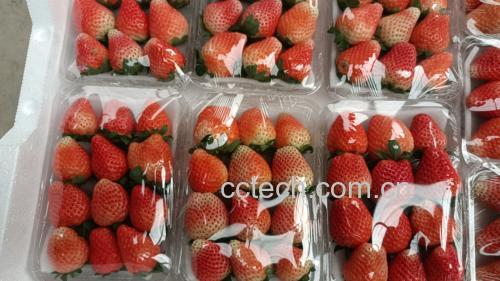 草莓奶酪成品展示