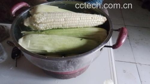 糯玉米蒸煮图