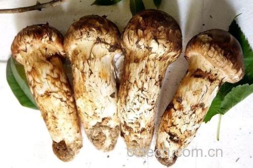 松茸与绿豆食材准备