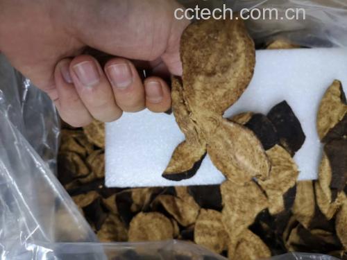 陈皮与绿豆组合