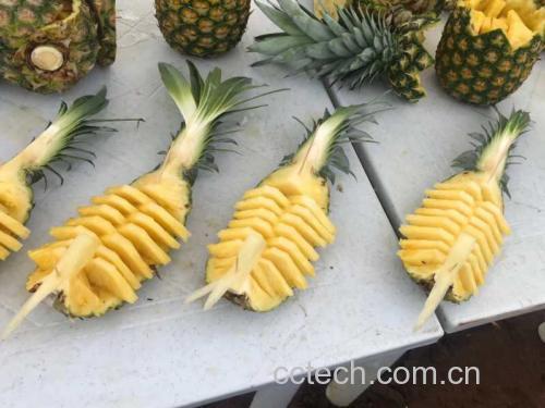 不同切片方式对比图