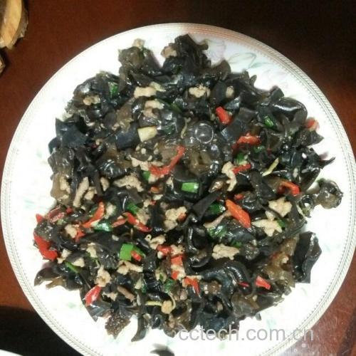 黑木耳炒牛肉的成品图