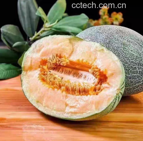 哈密瓜切开特写