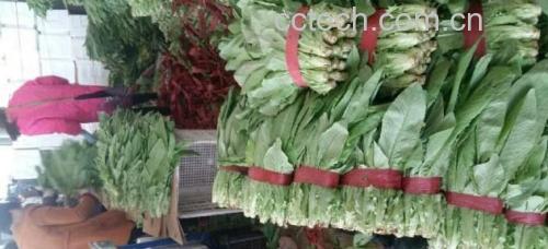 新鲜油麦菜与莴笋的市场选购图