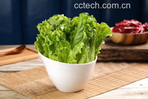 生菜与球生菜的烹饪方式展示图