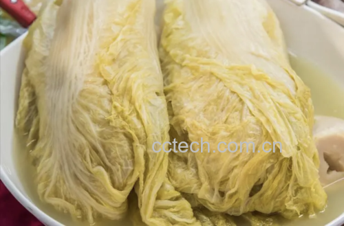 腌制过程中的长杆白菜正在坛中发酵
