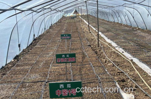 西瓜种植管理示意图
