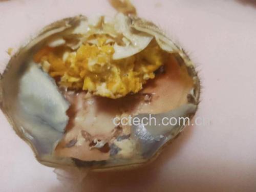 螃蟹与黄瓜组合食材图