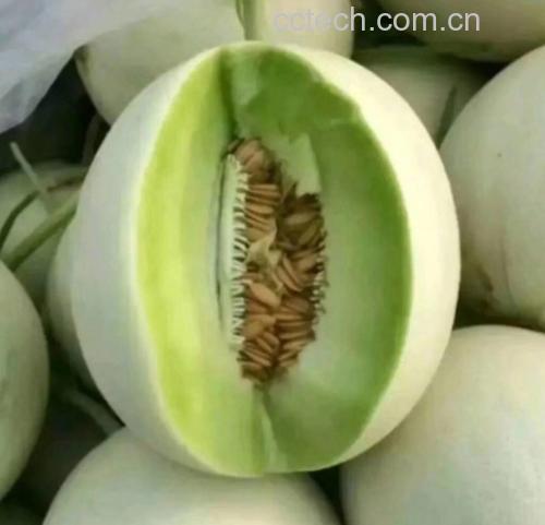 玉菇甜瓜的切开图,展示其白嫩果肉与饱满籽粒