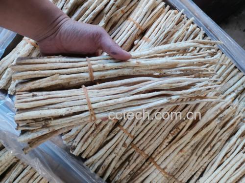 北沙参菜食材准备图