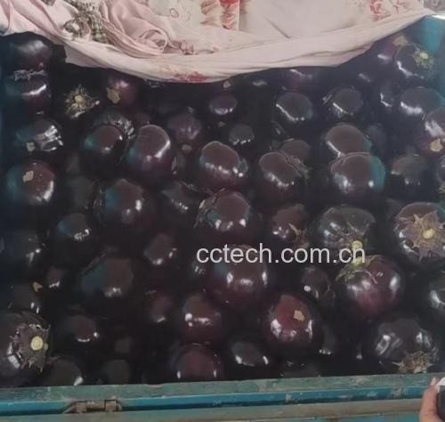 发茄成品图