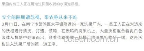 沃柑清洗过程展示图